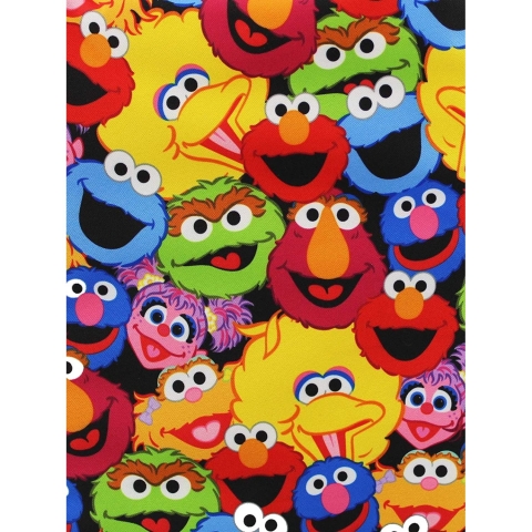 Sesame Street Termal Yemek antas(Susam Soka Figrl)