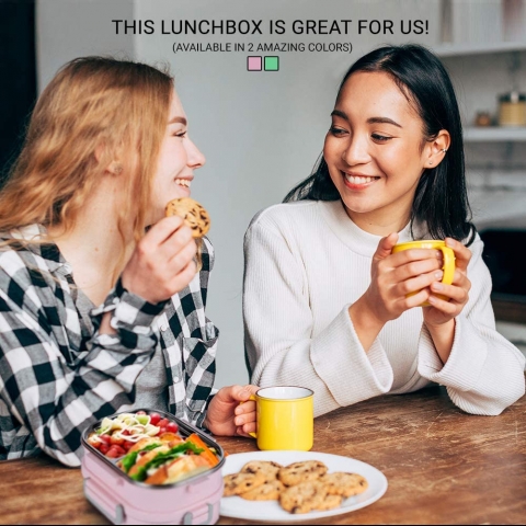 LunchBoss STEEBO Paslanmaz elik Blmeli Beslenme Kutusu (Pembe)
