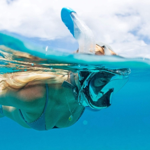 WildHorn Outfitters Seaview 180 V2 Full Face Snorkel Mask with FL