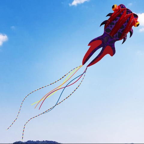 kizh Japon Bal��� U�urtma (500cm)