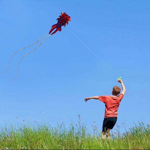 kizh Japon Bal��� U�urtma (500cm)