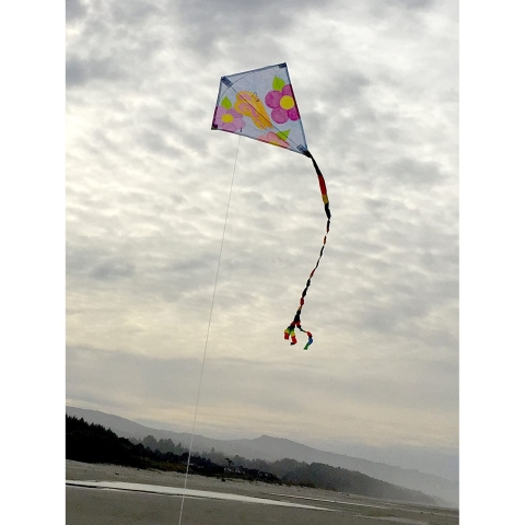 In the Breeze ��gen U�urtma (125cm)