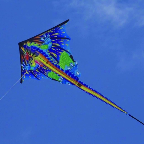 x kites Ejderha Uurtma (Renkli, 53cm)