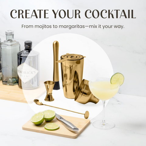 Mixology & Craft Cocktail Shaker Set (10 Para)