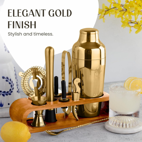 Mixology & Craft Cocktail Shaker Set (10 Para)