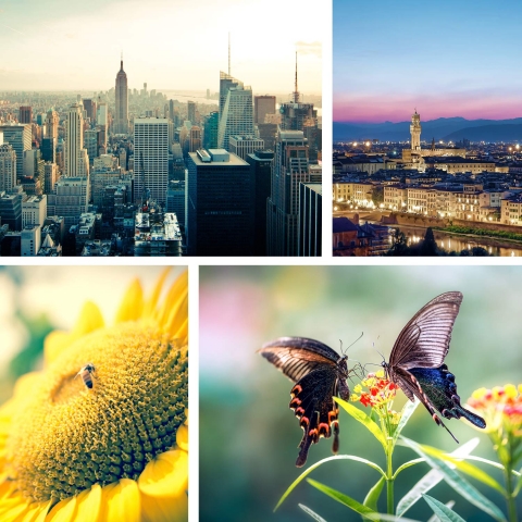 ANGFLY 4K 2'si 1 Arada Geni Al Lens ve Sper Makro Lens
