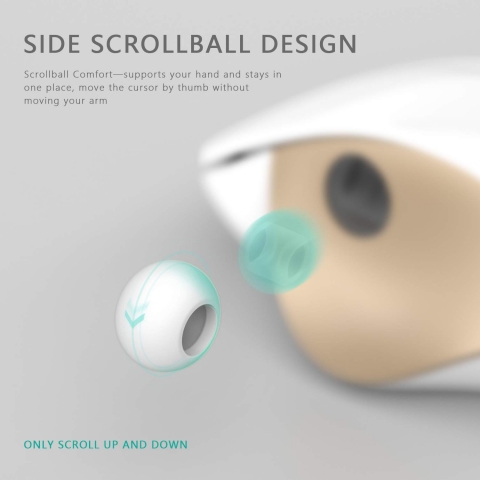 Jelly Comb Beyaz/Gold Wireless Ergonomik Vertical Mouse