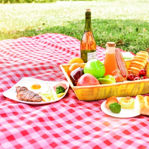 Bien-Zs Su Geirmez Piknik rts (150x200cm)