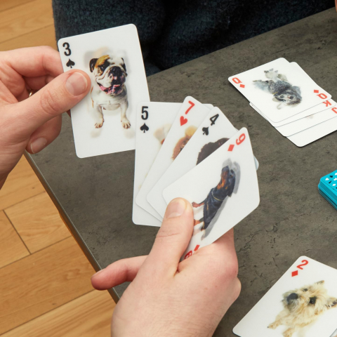 Kikkerland Lentik�ler Oyun Kartlar�-Dog
