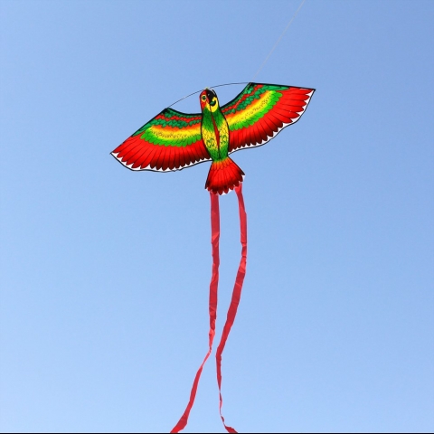 HENGDA KITE Ku Uurtma