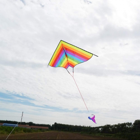 ZHUOYUE G�kku�a�� U�urtma