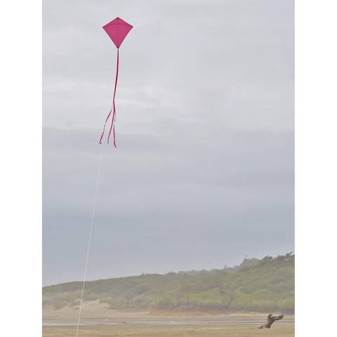 In the Breeze U�urtma