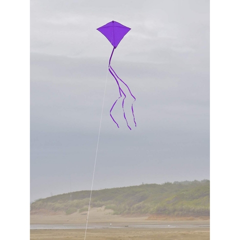 In the Breeze U�urtma