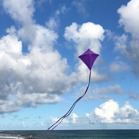 In the Breeze U�urtma