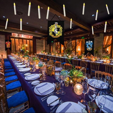 Homemory LED Mum Set