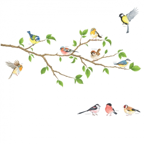 Decowall Duvar Sticker (Ku�)
