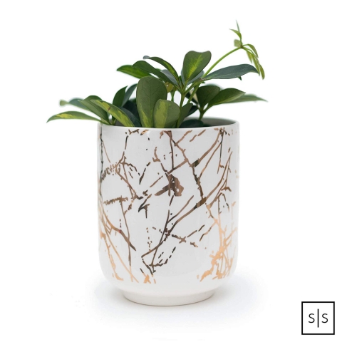 STYLED SETTINGS Tezgah st Kaklk (Gold)