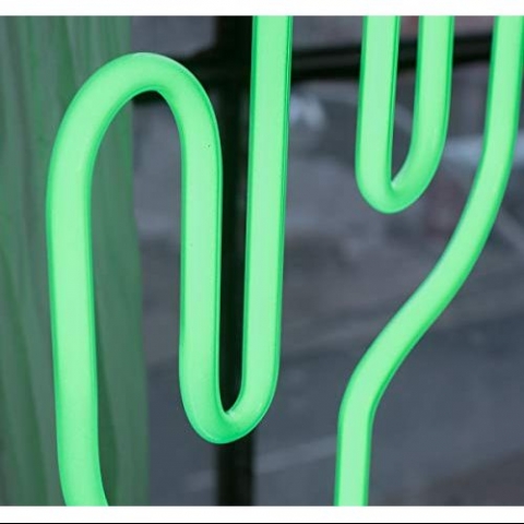 Amped And Co Cactus Neon Desk Light, Real Neon, Green, Large 16.5 x