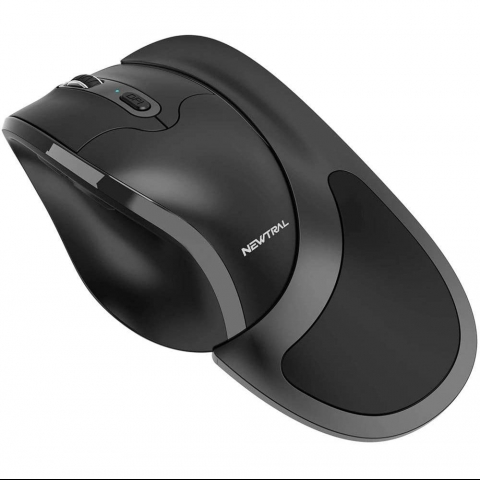 Mouse Çeşitleri