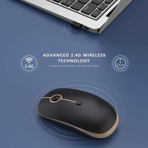 Jelly Comb 2.4G Wireless Mouse (Siyah/Alt�n)