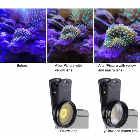Aquarium Choice Akll Telefon iin Mercan Lens Filtre Kiti
