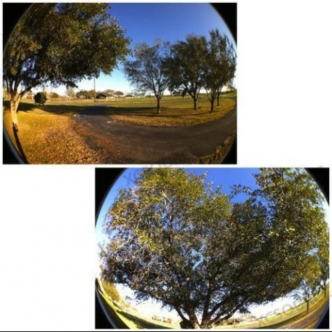 HSINI iPhone/iPad Uyumlu 180 Derece Fish Eye Lens