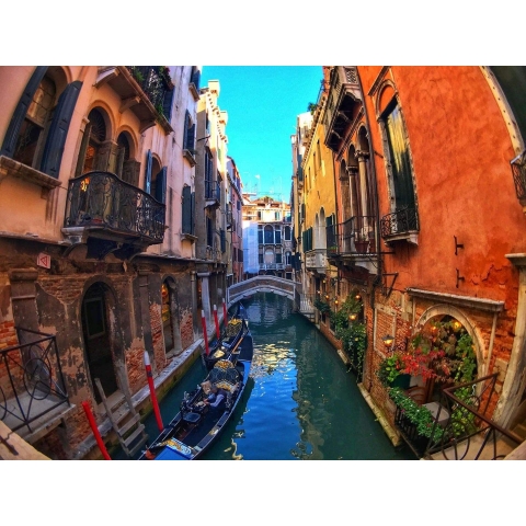 olloclip iPhone 8/8 Plus Lens Seti