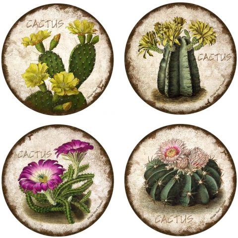 Thirstystone Kakts Desenli Bardak Altl Set