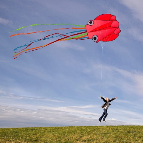 Flyerrart Naylon Ahtapot U�urtma (21 cm)