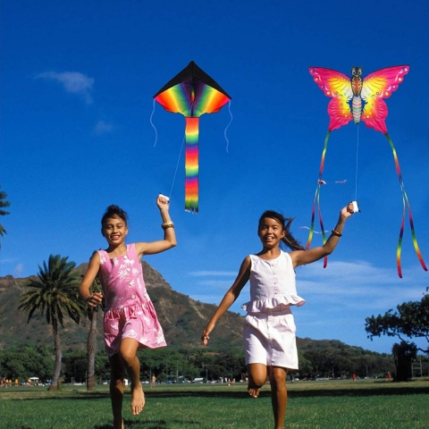 SINGARE Naylon 2 Par�a U�urtma (Delta-Kelebek) (140 cm)