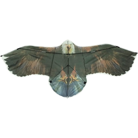 JOYIN Kartal Uurtma (190 cm)