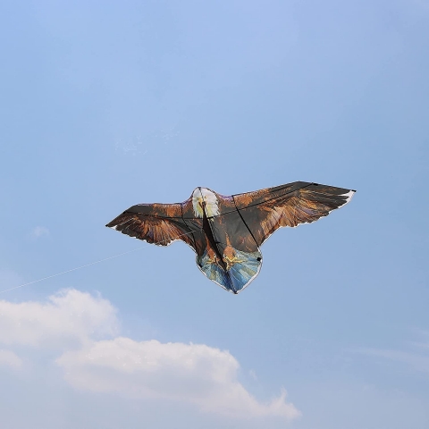 JOYIN Kartal Uurtma (190 cm)
