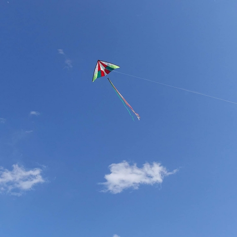 emma kites Delta U�urtma (Ye�il/K�rm�z�/Beyaz) (150cm)