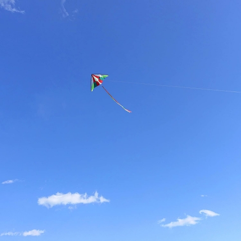 emma kites Delta U�urtma (Ye�il/K�rm�z�/Beyaz) (150cm)