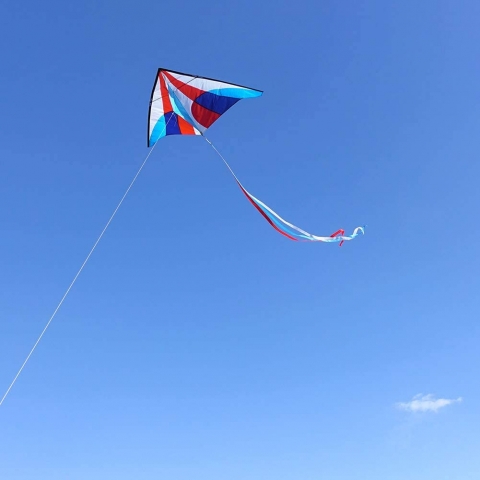 emma kites Delta Uurtma (Mavi/Krmz/Beyaz) (150cm)
