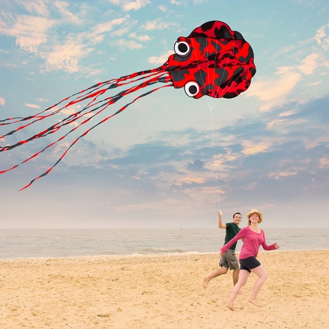 Flyerrart Krmz Ahtapot Uurtma (69x398cm)