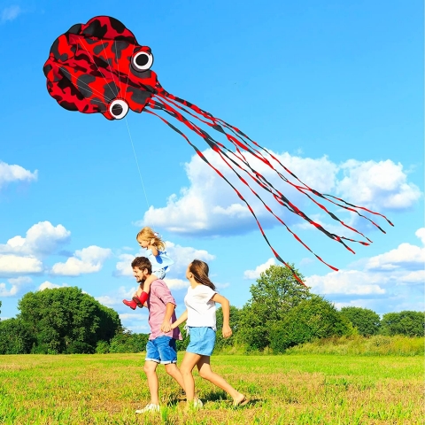 Flyerrart Krmz Ahtapot Uurtma (69x398cm)