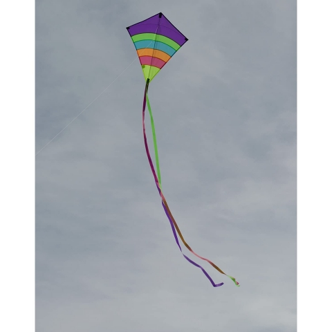 In the Breeze U�urtma (Renkli)(58x68cm)