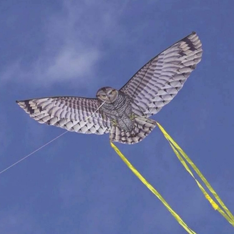 WindNSun 2D Bayku Uurtma (170cm)