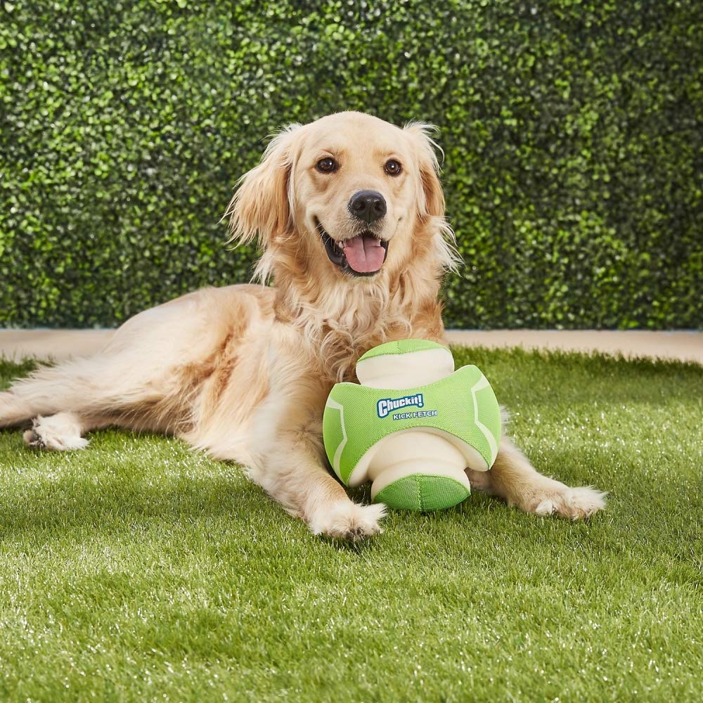 Chuckit! Köpek İçin Oyun Topu (Large) (Neon) 10706