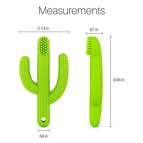 Pickle And Olive Bebek Diş Kaşıyıcı 14137