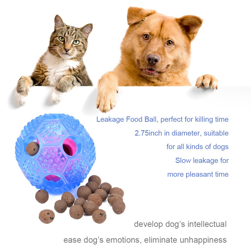 interaktif köpek oyuncakları