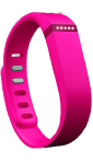 Fitbit Flex