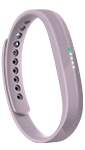 Fitbit Flex 2