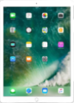 iPad Pro 12.9 in (2.Nesil)