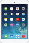 iPad Mini with Retina