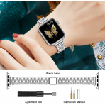 MioHHR Apple Watch Series 12 �elik Kay�� -Silver
