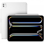 SwitchEasy iPad Pro M4 CoverBuddy Lite Klf (13 in)