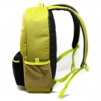 Amber And Ash Campus Laptop antas (15.6 in)-Desert Green Electric Pear