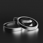 BodyGuardz iPhone Duo Kamera Lens Koruyucu-Silver